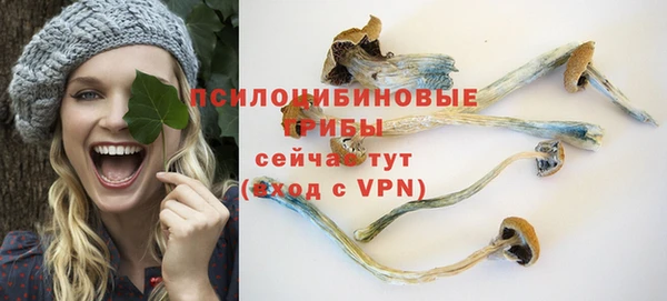 ГАЛЛЮЦИНОГЕННЫЕ ГРИБЫ Абинск