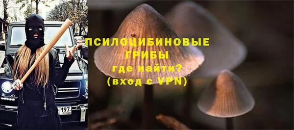 индика Абдулино