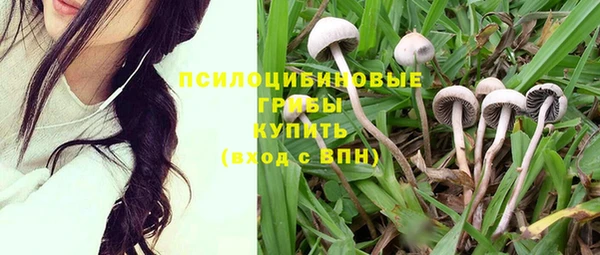 ГАЛЛЮЦИНОГЕННЫЕ ГРИБЫ Абинск